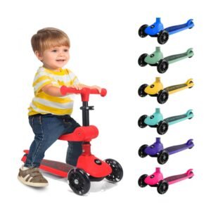 Foldable Kid Kick Scooter - SLKSC22RD
